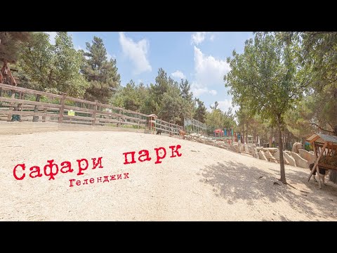 Что посмотреть в