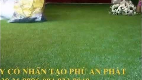 Tham Co Nhan Tao Dung Dan Tuong( thảm cỏ nhân tạo dùng dán tường)