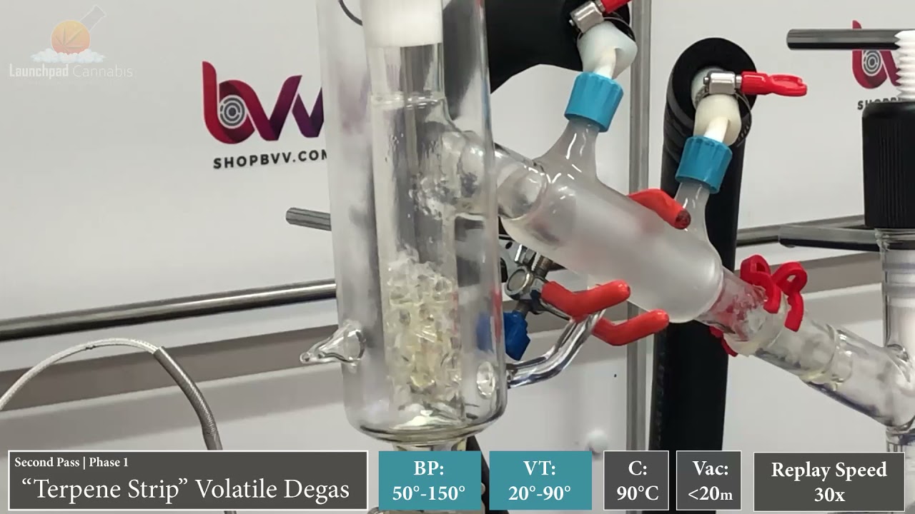 Short Path Distillation Tutorial! Second Pass Distillation start to finish (Video 4)