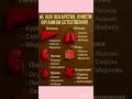 не пей лекарства 💊 очисти организм естественно #шортс #рецепт #витамины