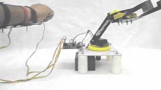 Haptic Robotic Arm