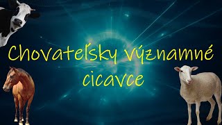 Chovateľsky významné cicavce