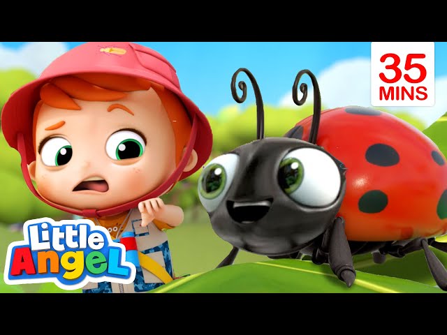 Bugs, Bugs, Go Away Bugs! + More | Little Angel Kids Songs u0026 Nursery Rhymes class=
