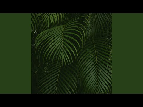 Смотреть «Euphony Playground» на YouTube