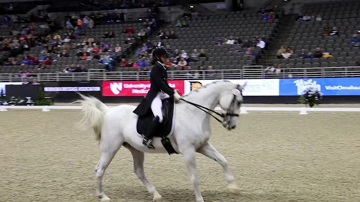 Jami Kment Riding Chivalry Omaha International  20...