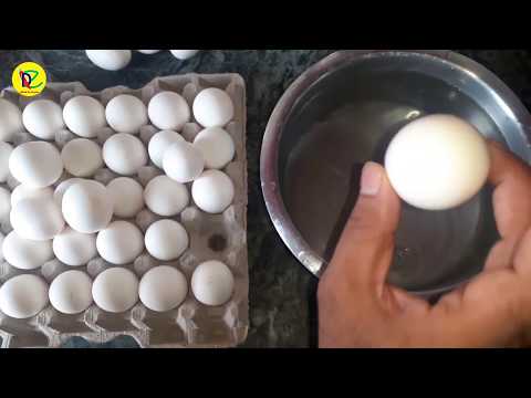 वीडियो: खराब अंडे की पहचान कैसे करें