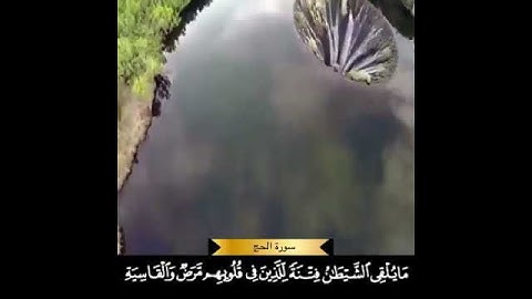 آيات من سورة الحج