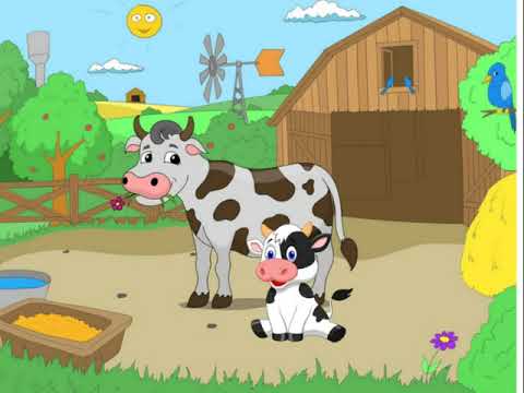 الحيوانات الولودة