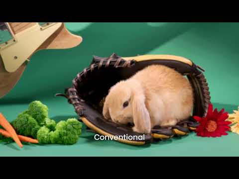 Video 1