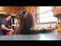 Middle of video