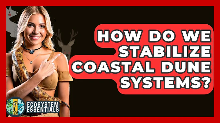 How Do We Stabilize Coastal Dune Systems? - Ecosystem Essentials