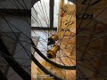 #chainlinecycles152™️handbuiltwheels