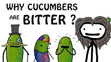 Why Cucumbers Are Bitter & How To Fix It (Sam O Nella parody)