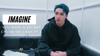 IMAGINE | YOU HAVE A SECRET CRUSH ON CHAN PT.3