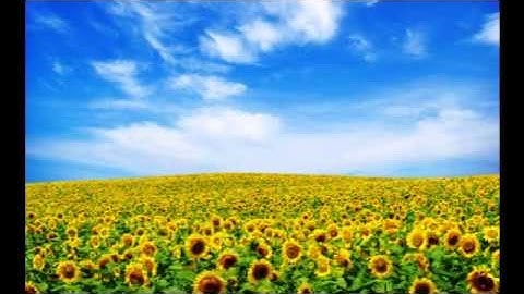 سورة الأنفال | القارئ الشيخ مأمون الشمالي