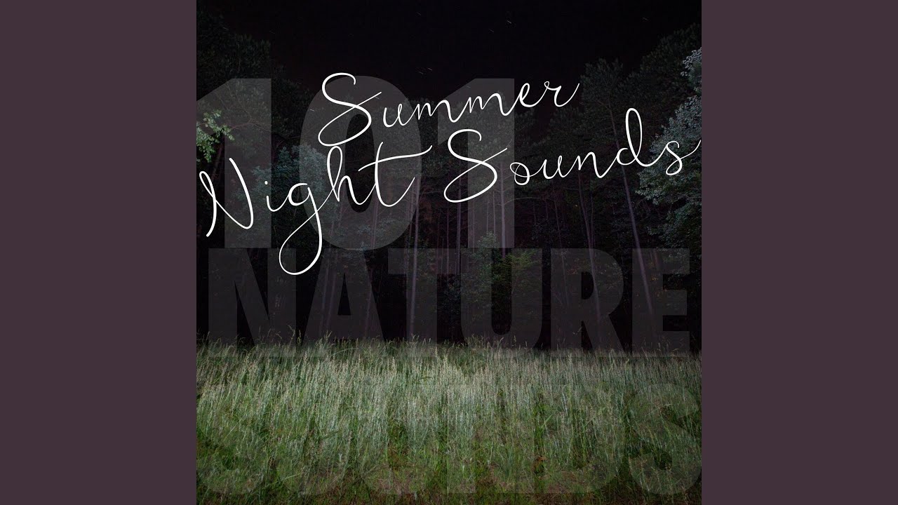 YouTube पर Gentle Storm देखें