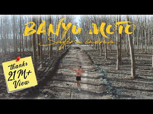 Safira Inema - Banyu Moto - Dj Santuy Full Bass (Official Music Video) class=