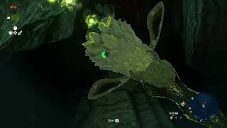 Stuck Between Yiga Base And Farosh Dragon The Legend Of Zelda Tears Of The Kingdom