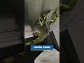 Trash piles up in PG County, lifeguard rescues boy, iguana scares FedEx workers | Morning Minute