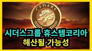 시더스그룹 휴스템코리아 해산 가능성