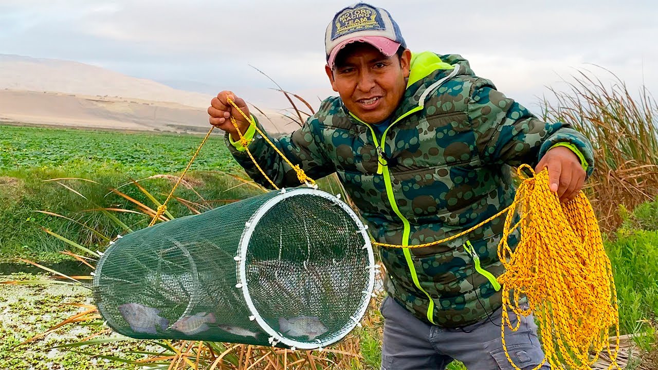 Trampa casero | shrimp trap | freshwater prawn trap -