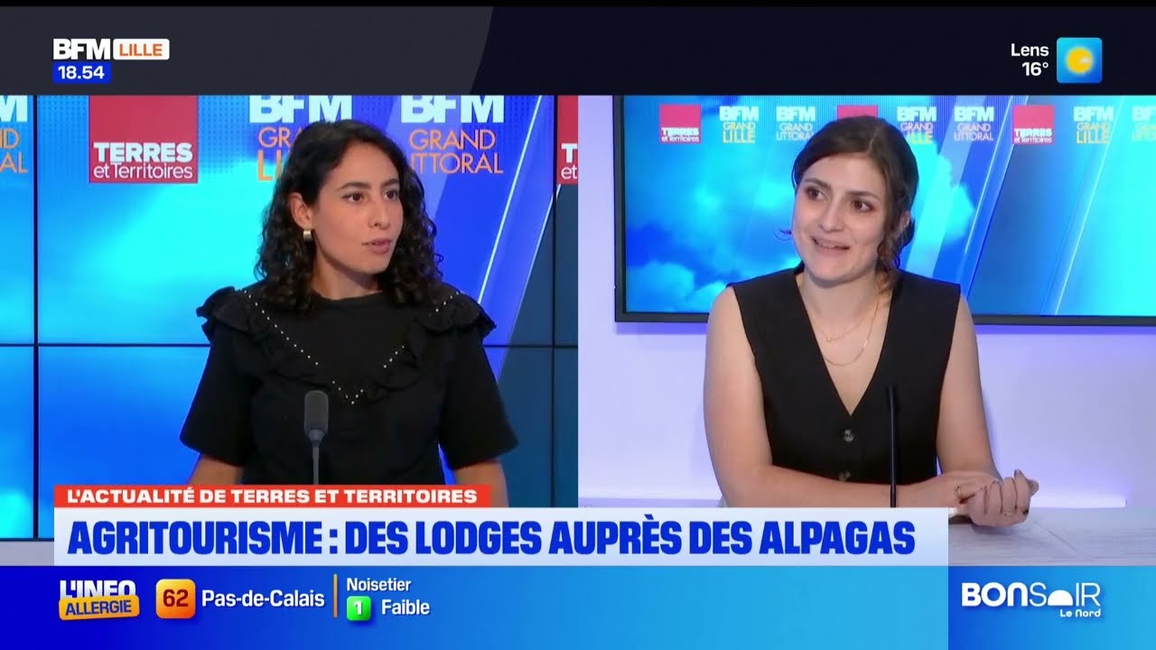 Hauts-de-France : la terre où poussent 17 % des légumes français | Planète Locale