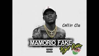 MAMORIO FAKE - Coll!e Cln (WYFL RIDDIM )Official audio #djmac #wyflriddim