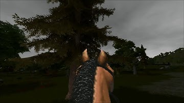 Beautiful Daggerfall April 2019