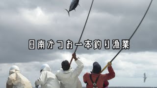 【祝：日本農業遺産認定！】日南かつお一本釣り漁業の紹介（宮崎県日南市）