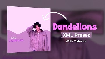 Dandelions 🩷 | Alight Motion XML Preset