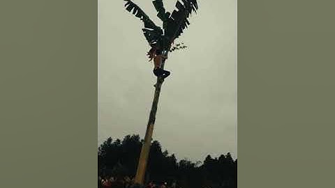 Ae đi chợi hội bịt mắt bắt lợn và cái kết tiết canh cả mâm...