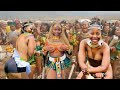 african zulu dance 