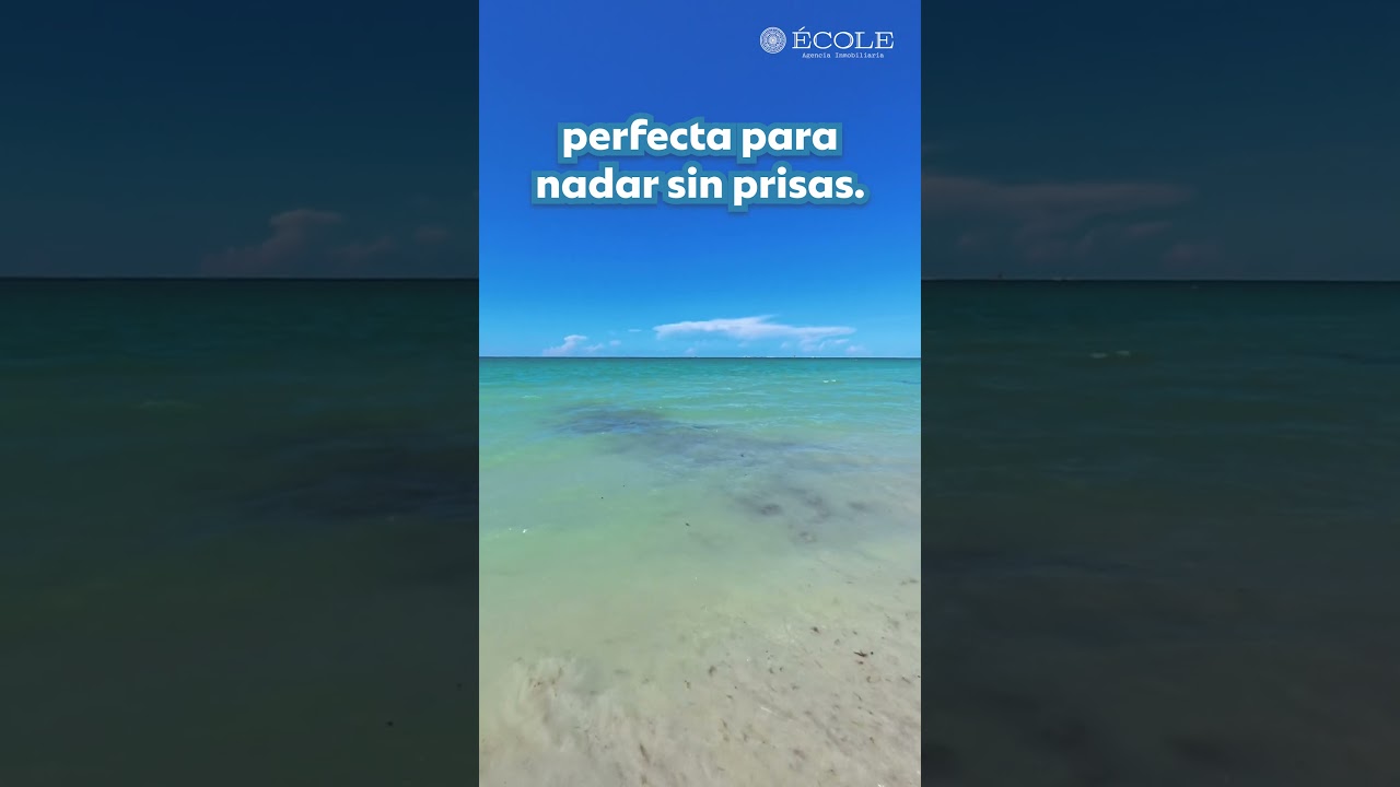 Chelem Yucatán 🌊 Playa tranquila y relajada