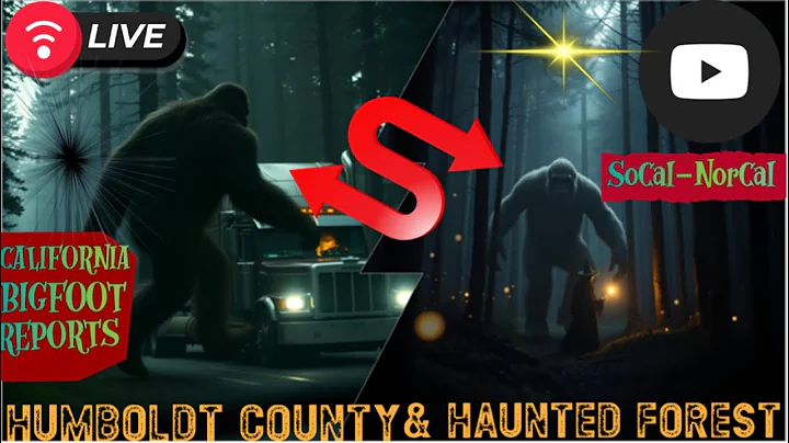 Welcome to our live show!