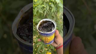 Ayyappa Swami Prasadam