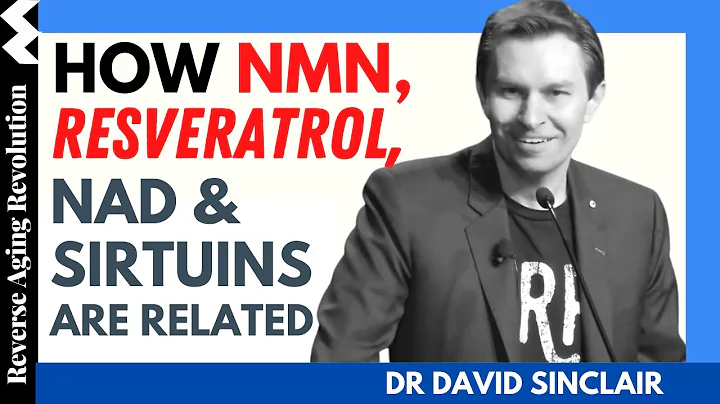 DAVID SINCLAIR How NMN, NAD, Resveratrol & Sirtuins Are Related| Dr David Sinclair Interview Clips