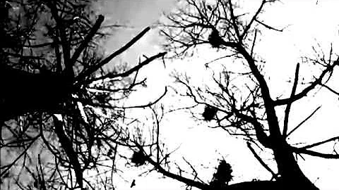 "Broken" by Angela B. Chrysler