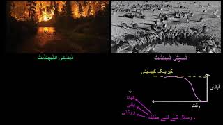 Population regulation | Ecology | Khan Academy Urdu