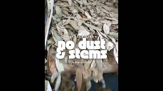 Bay Leaf Factory Process |Inside a Modern Spice Processing Unit | Cleaning, Grading & Bulk Packing
