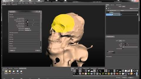 mudbox 2012 SAP "by Face" selection