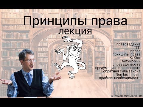 Принципы права