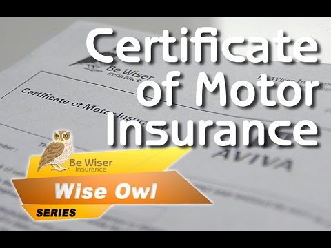 Wise Owl Series (Eps 8) - The Certificate of Motor Insurance