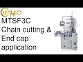 Ciemmeo MTSF3C Automatic Chain cutting machine