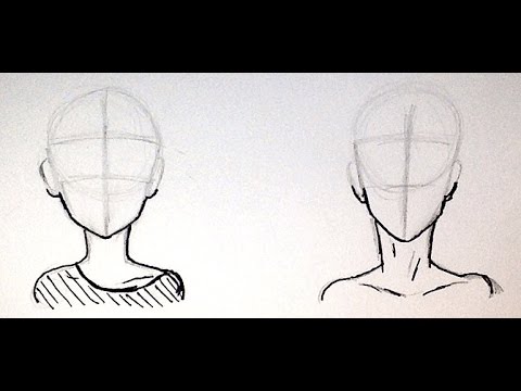 Featured image of post Anime Head And Shoulders Anime neck shoulders drawing