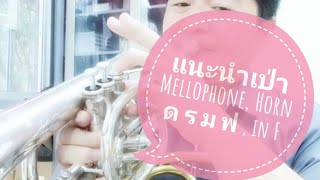 แนะนำเป่า #Mellophone #Horn ด ร ม ฟ , in F #frenchhorn