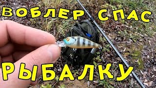 Рыбалка на воблер PONTOON21 CHEERFUL!!! Уловистый воблер на окуня и щуку!