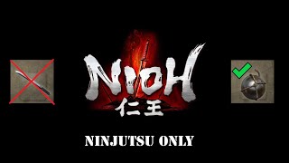 Nioh, но я использую только урон ниндзюцу