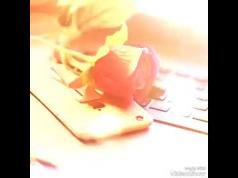 أغنية شيار جيا وصلاح بريم اسمري