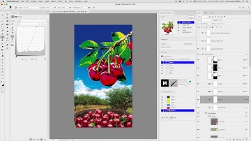 Flexo Retouching Demo with RetouchXPress