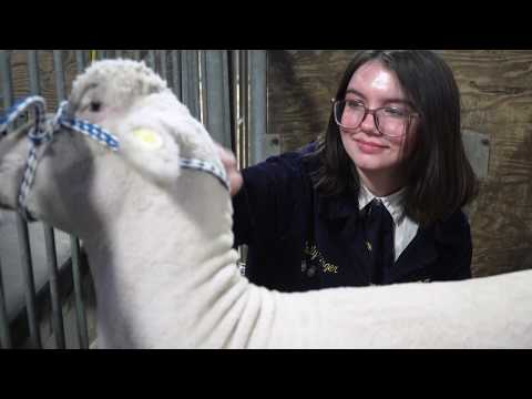 A high school student auctions her lamb at the PA Farm Show